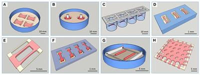 3D Cardiac Cell Culture: A Critical Review of Current Technologies and Applications